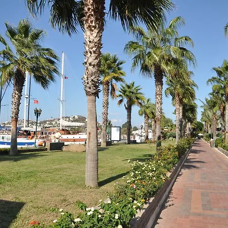 شقة Hill View Gardens *
