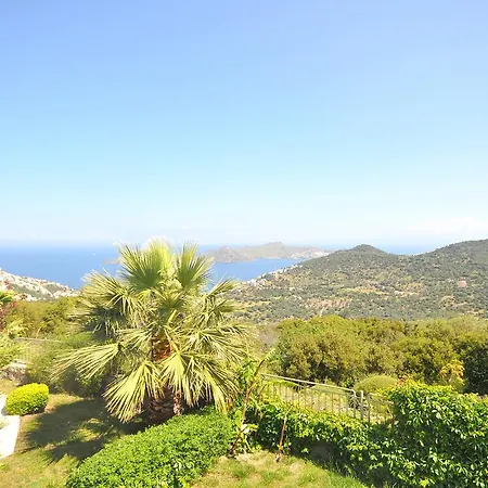 شقة Hill View Gardens *