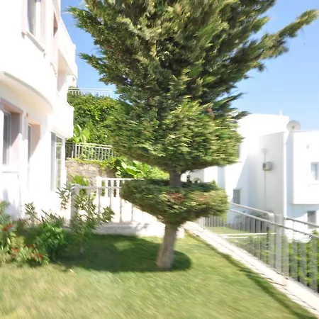 Apartment Hill View Gardens *